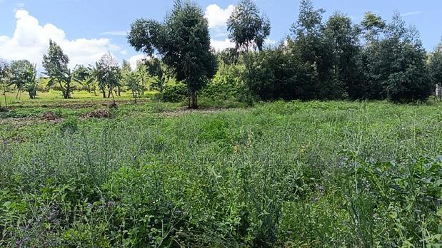 50/100 Plots on Sale in Kikuyu Ondiri