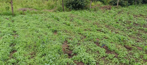 50X100 Land for Sale in Nachu - Kikuyu