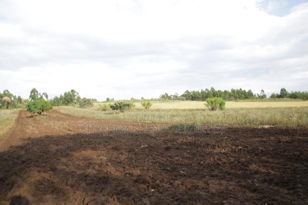 Prime Plots for Sale in Kikuyu Nachu, Mbomboine