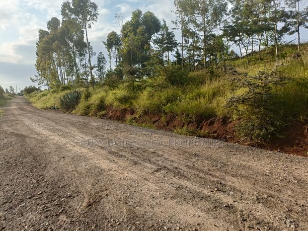 Prime 50x100 Plot of Land for Sale in Nachu Kikuyu