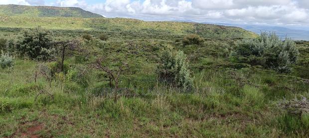 50x100 Land for Sale in Kikuyu Karai on Limited Time Offer