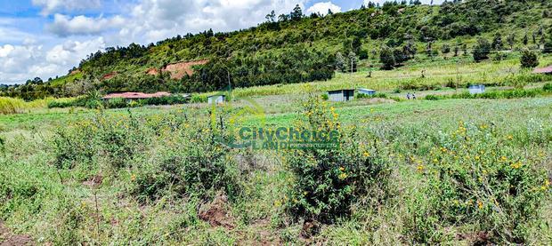 Own Land in Karai - Lusigetti This January!