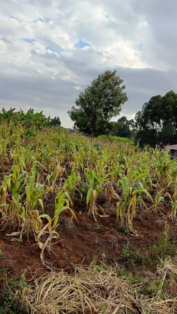 Prime Investment Opportunity - Rironi Kiroe