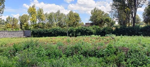 50/100 Plots on Sale in Kikuyu Ondiri