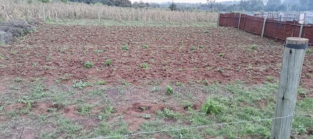 50x100 Plot of Land for Sale in Gikambura