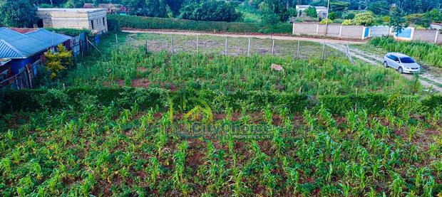 Prime Residential 50by100 Plot for Sale in Kikuyu Gikambura