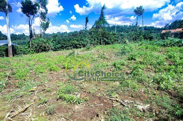 Prime Affordable 1/4 Acre Land for Sale in Ruthigiti Kikuyu