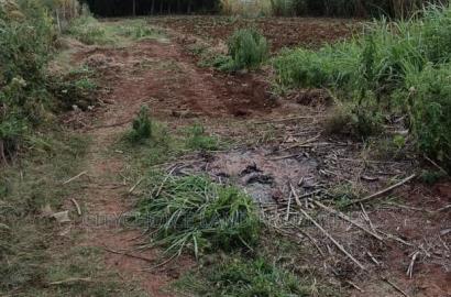 Affordable Perfect Family Plot Rironi Kiroe for Only 2,200,000