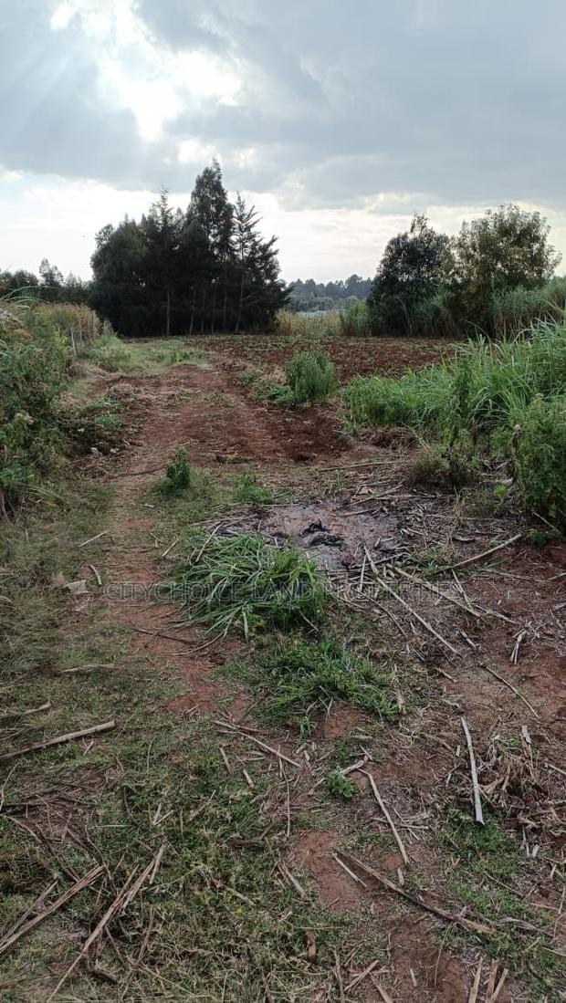Affordable Perfect Family Plot Rironi Kiroe for Only 2,200,000