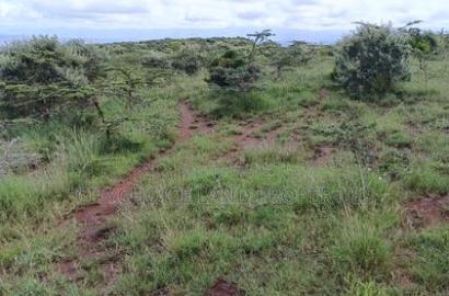 Kikuyu 50x100 Plot for Sale in Karai