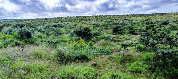 Affordable 50X100 Plot for Sale in Nachu - Kikuyu