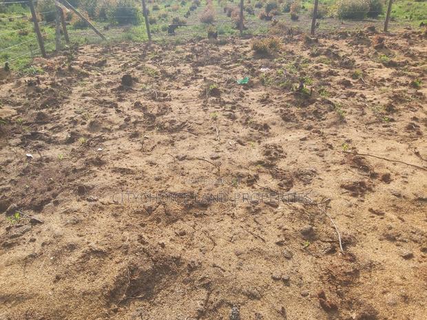 Prime 50x100 Plot on Karai Kikuyu