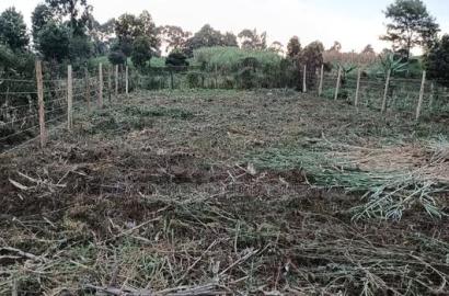 Prime Land Investment Opportunities in Kikuyu Kerwa