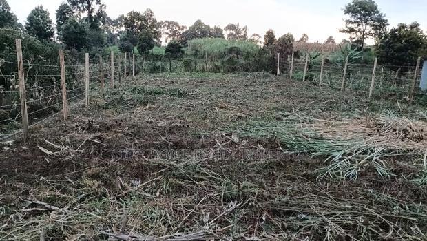 Prime Land Investment Opportunities in Kikuyu Kerwa