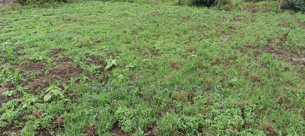50X100 Land for Sale in Nachu - Kikuyu