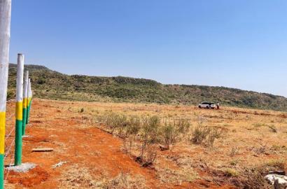 New 50x100ft Project Alert - Nachu Kikuyu