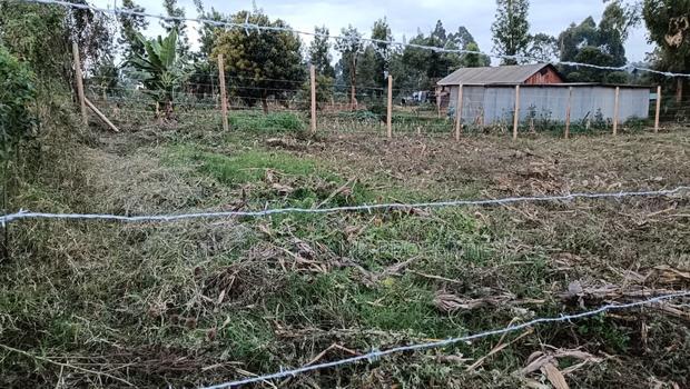 Buy and Build Prime Plot in Kikuyu Muguga