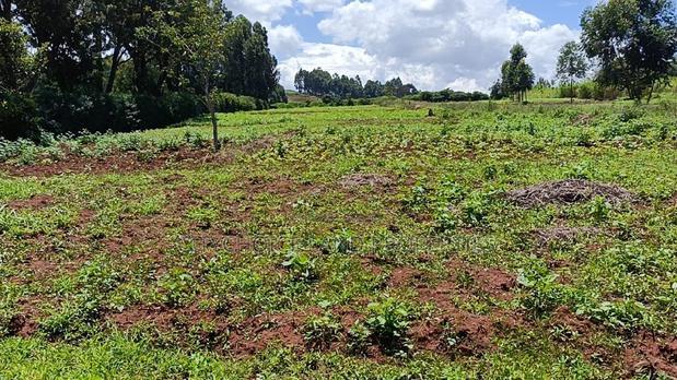 50/100 Plots on Sale in Kikuyu Ondiri