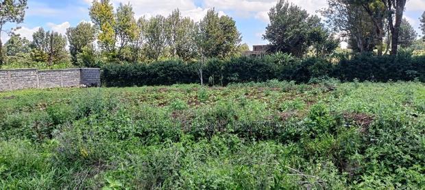 50/100 Plots on Sale in Kikuyu Ondiri