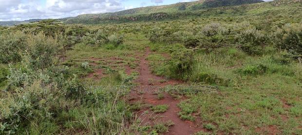 Prime 50x100 Plots for Sale on OFFER! In Kikuyu Nachu