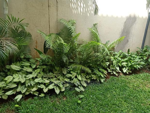 5bdrm Townhouse/Terrace in Langata for sale