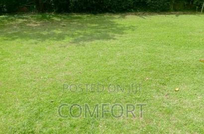 5bdrm Mansion in Lavington Green for rent