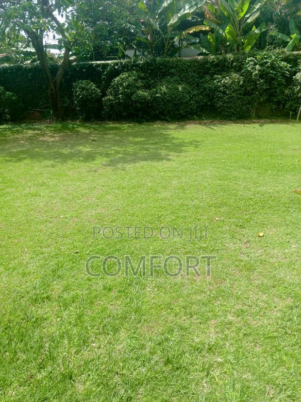 5bdrm Mansion in Lavington Green for rent