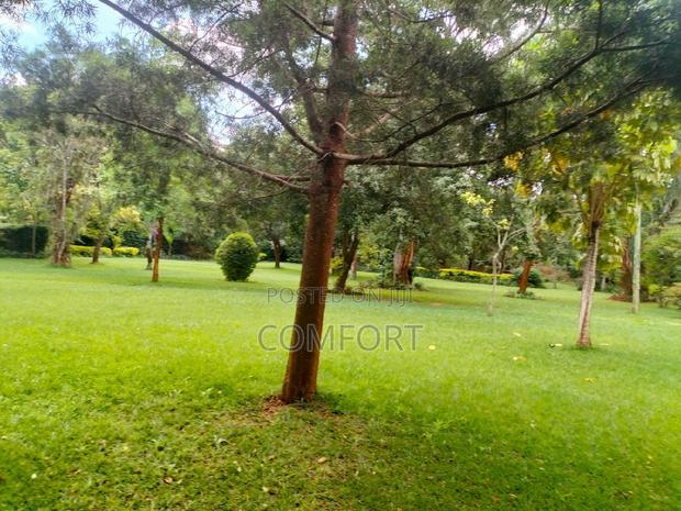 5bdrm Mansion in Karen for rent
