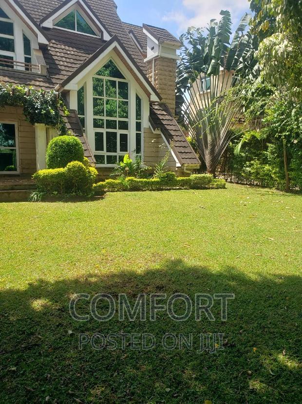 6bdrm Villa in Lavington Green for rent