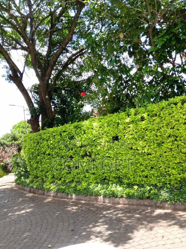 5bdrm Mansion in Karen for rent