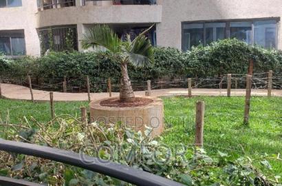 2bdrm Apartment in Kilimani for rent