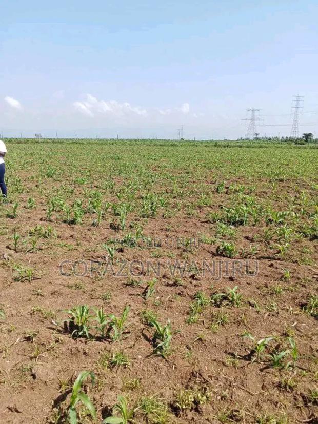 50"100plots in Nakuru Kongasis