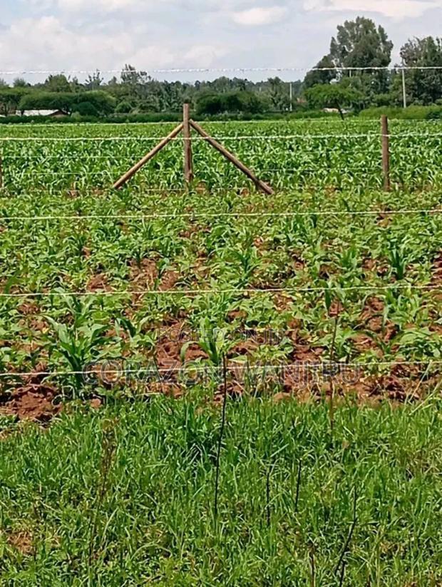 50*100plots in Sobea