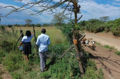 50*100plots in Nakuru,Kongasis