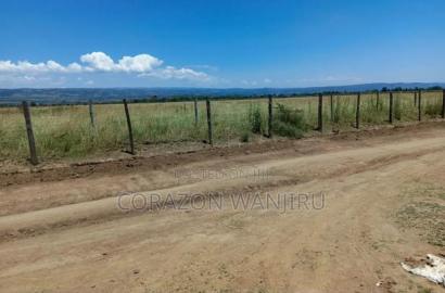 50*100plots in Mutaita Stima Line