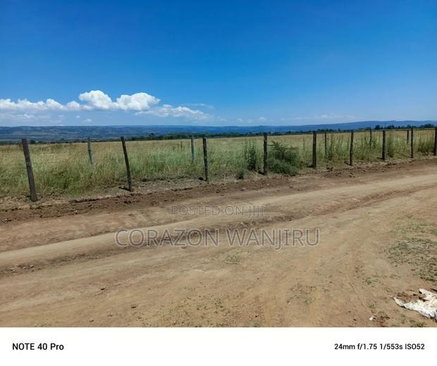 50*100plots in Mutaita Stima Line