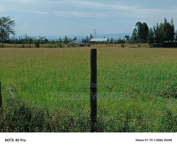 50*100plots in Nakuru,Kongasis