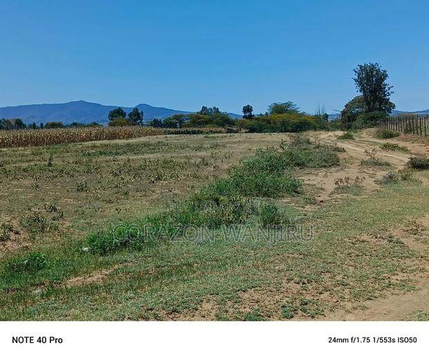 50*100plots in Mutaita Stima Line
