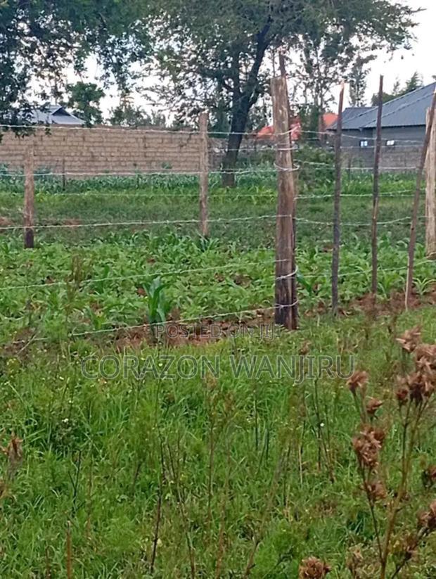 50*100plots in Sobea