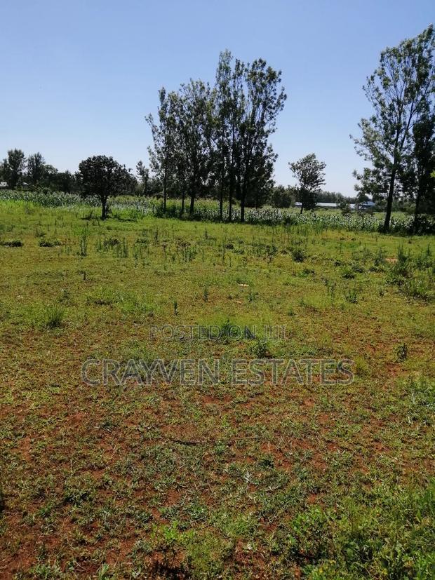 Makuyu Greens Phase 2