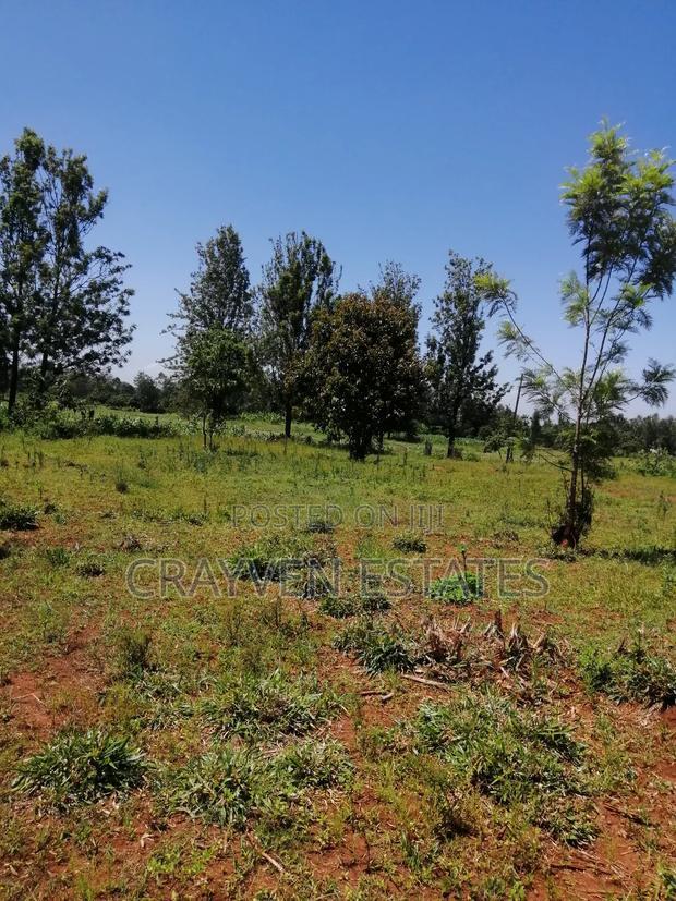 Makuyu Greens Phase 2