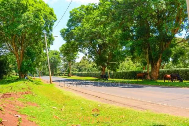 Nyeri Bliss