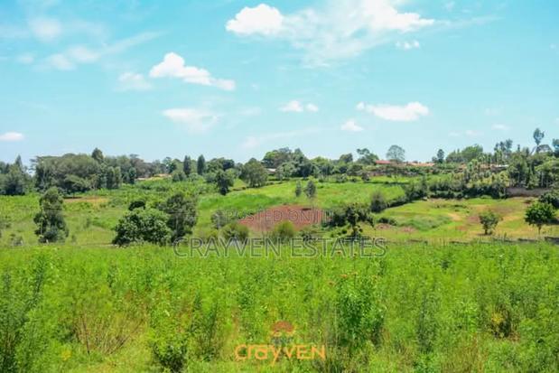 Nyeri Bliss