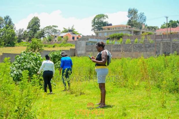Nyeri Bliss