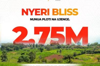 Nyeri Bliss