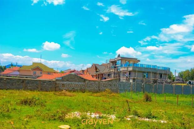 Nyeri Bliss