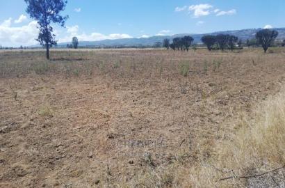 Ideal Plots Next to Surtan Primary in Miti Mingi for Sale