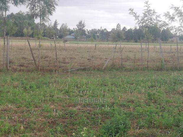 Plots for Sale at Ngecha Njoro