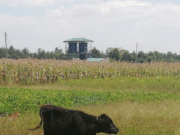 Prime Plots Opposite KARI Njoro