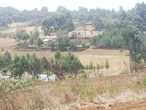 Prime Plots at Ngata Njoro 11km From Nakuru Town